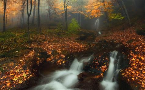 Download Wallpapers Autumn Forest Waterfall Fog Autumn Forest For