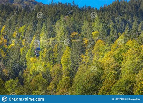 Lauterbrunnen Switzerland Forest And Cable Car Editorial Image Image