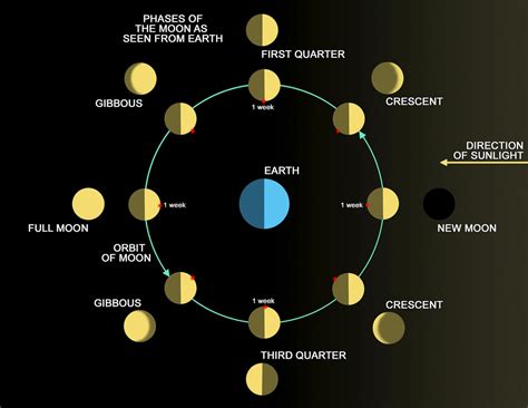 Moon Phases Diagram Sun On Left