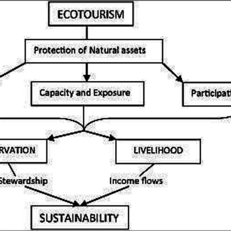 Pdf Exploring Tourists Understanding And Experience Of Ecotourism