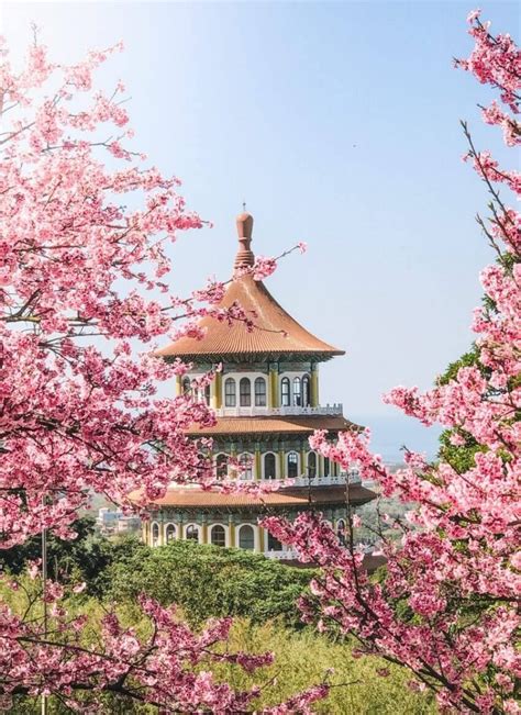Where To See Cherry Blossoms In Seoul Hoponworld