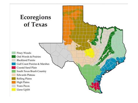 Showme 4 Regions Of Texas