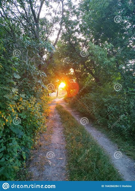 Rural Dirt Road Among The Trees In Village Of Ukraine Stock Photo
