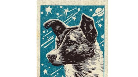 The Amazing True Story Of Soviet Astronaut Dogs Cnn