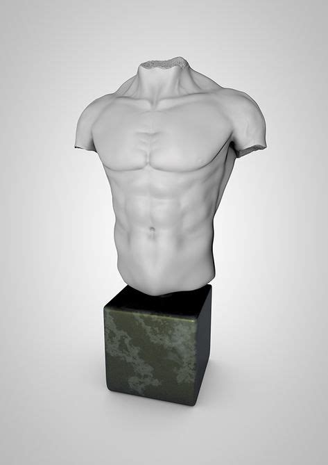 Male Torso Anatomy Sculpt On Behance Em 2020