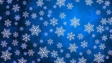 Free Download Snowflake Nature Wallpaper Hd Wallpaper 2560x1440 For