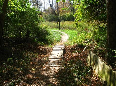 Hueston Woods State Park Photo Singletrackscom