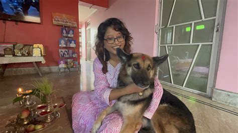 Project Maya: Improving The Lives of Dogs