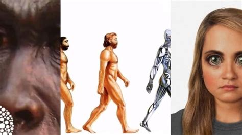 The Evolution Of Humans In The Future