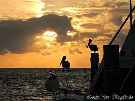 Travel In Paradise With Keys Claudia Islamorada Florida Keys Sunrise