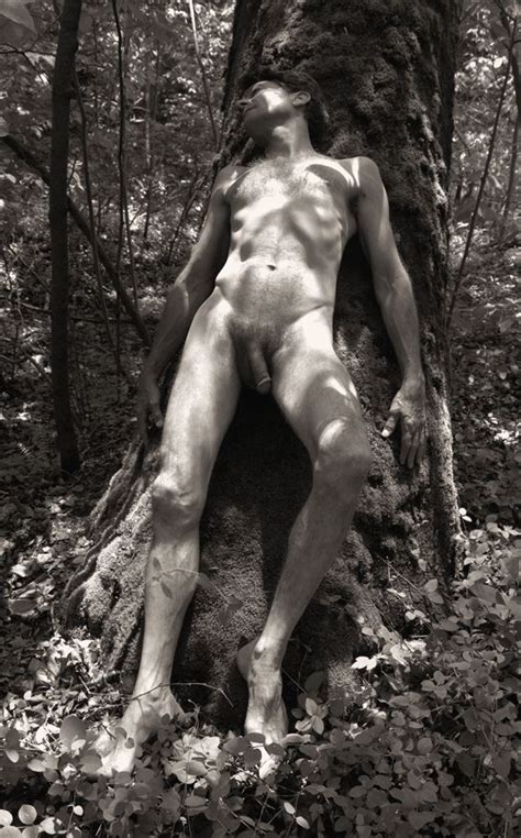 Dappled Nude Artistic Nude Photo By Photographer J Wayne Higgs At Model Society