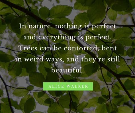 10 Beautiful Quotes for Nature Lovers