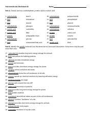 One of the macromolecule worksheets that help the students organize the information is our macromolecule graphic organizer. Biology Macromolecules Worksheet 2 Homework.doc ...
