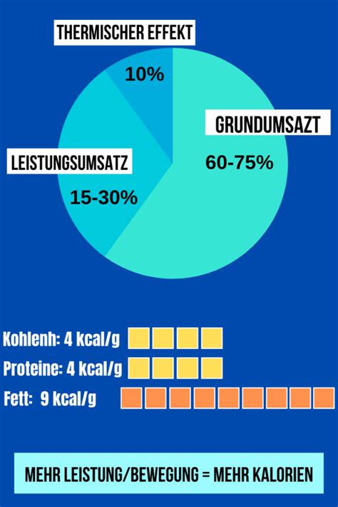 Wie viele Kalorien sollte man am Tag essen Finde deinen Bedarf