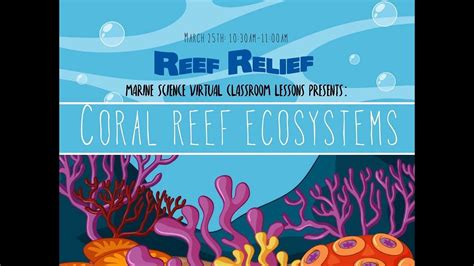 Lesson 2 Coral Reef Ecosystems Youtube