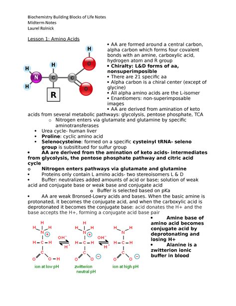 Biochem Midterm Notes Midterm Notes Laurel Rolnick Lesson 1 Amino