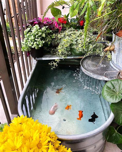 Let real simple provide smart, realistic solutions from diy crafts and recipes to home decor ideas, all to make your life easier. Indoor Goldfish Ponds Design Ideas | Fish pond gardens, Ponds backyard, Pond design