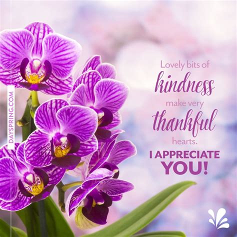 Thank You For Your Kindness Quotes Shortquotescc