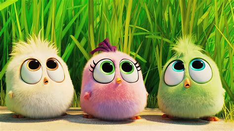 The Angry Birds Movie 2 Wallpapers Top Free The Angry Birds Movie 2