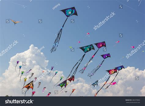 Beautiful Kites Kite Festival Stock Photo 286379063 Shutterstock