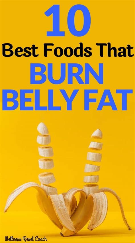 10 Best Foods That Burn Belly Fat Wellness Reset