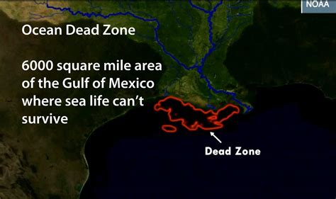 Agri View Gulf Of Mexico Dead Zone Growing Southeast Agnet