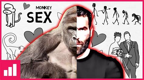 adil s world evolution sexuality and monogamy