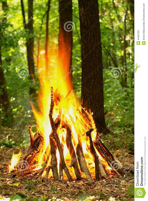 Bonfire In The Forest Stock Image Image Of Night Burning 44467201