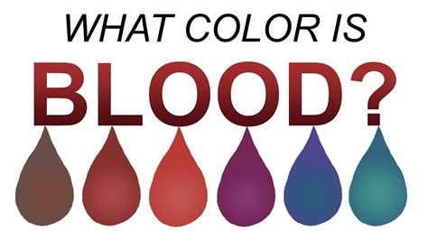Colors Of Blood Chart