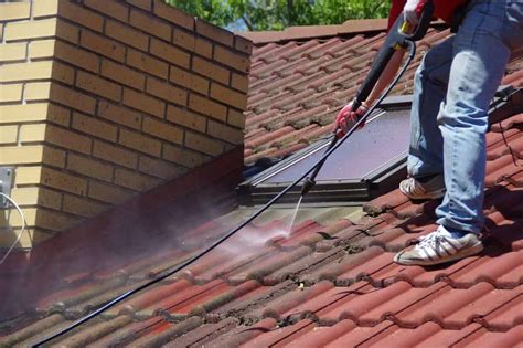 10 Best Roof Cleaners Of 2023
