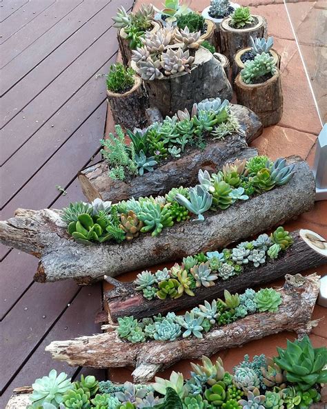 Diy Log Succulent Planter Sounds Like An Excellent Idea For Your Garden