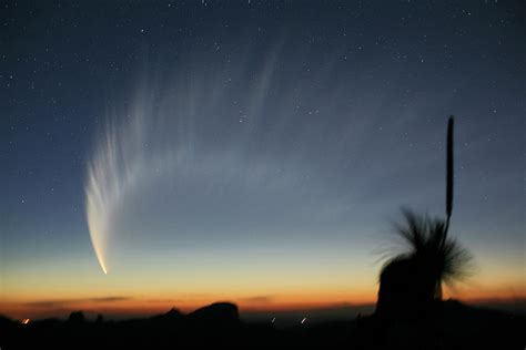Comet Mcnaught Photograph By Robert Mcnaughtscience Photo Library