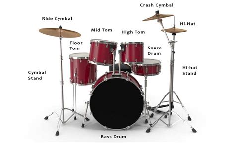 The Different Components Of A Standard Drum Kit 1 Download