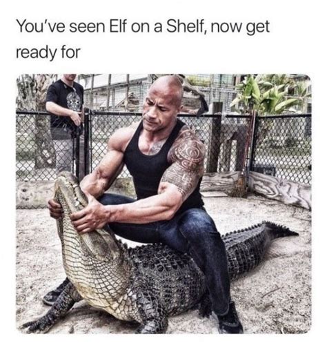 Elf On The Shelf Memes 36 Pics