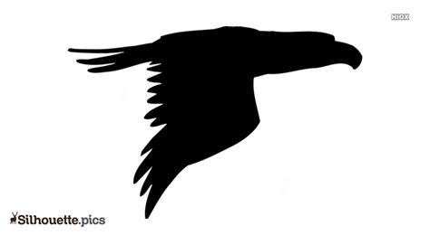Falcon Flying Silhouette