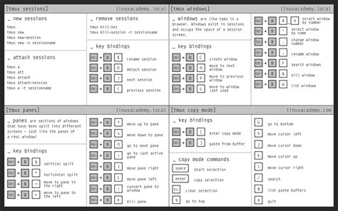 Unix Shell