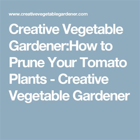 Creative Vegetable Gardenerhow To Prune Your Tomato Plants Creative