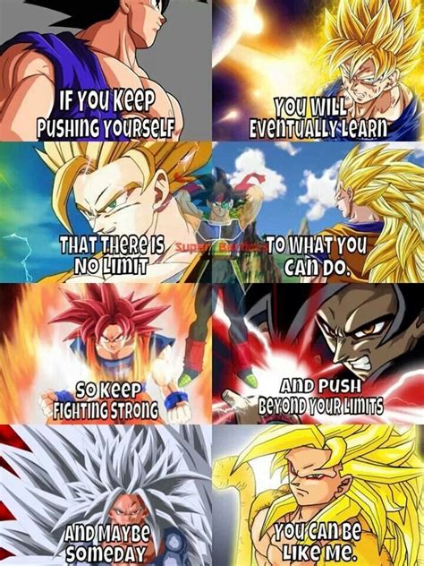 But the one that i keep close to my heart is i do not fear this new challenge, rather like a true warrior i will rise to meet it oh man, everything time i see it, or think about it, or say it, i get go. Evolution of Goku | Dbz quotes, Dbz memes, Dragon ball z