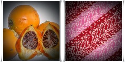 Menjadi salah satu alternatif pengganti zat. Yulutrip: 15 pewarna alami untuk textile