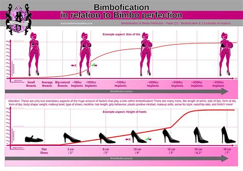 Bimbo Training Basic Bimbo Rules What Is Bimbofication Shaping