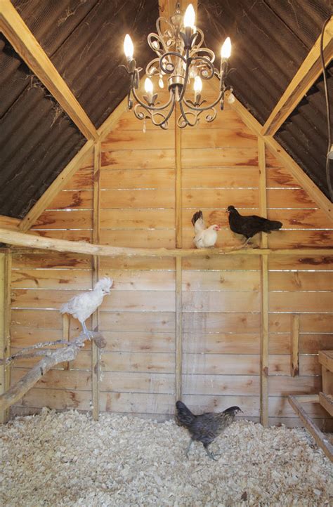 Furthermore, plywood is easy to cut holes and windows in to provide a backyard flock with plenty of ventilation inside the coop. Sunny side up: Why chicken coops are the latest urban trend