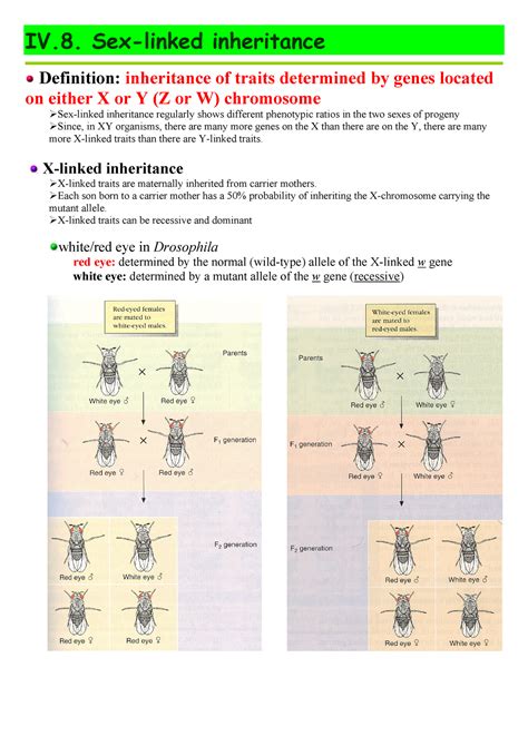 Iv8 Sex Linked Inheritance Iv Inheritance Definition Inheritance Of Traits Determined