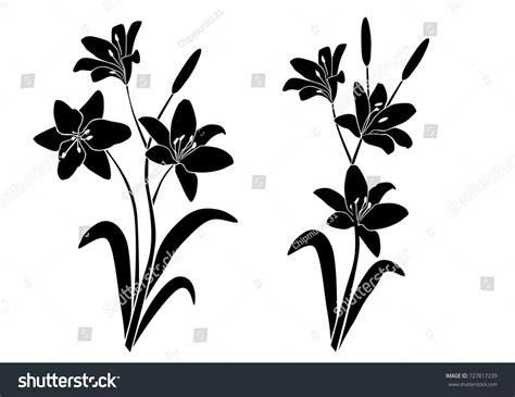 Silhouettes Lily Flower Blossom Branches Vector Stock Vector Royalty