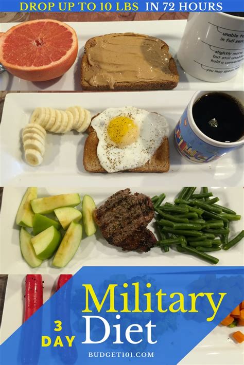 3 day military diet drop 10lbs in 72 hours but does it work cohaitungchi tech