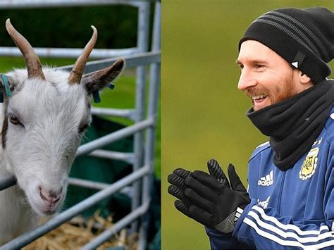 lionel messi poses with goats for photoshoot express and star