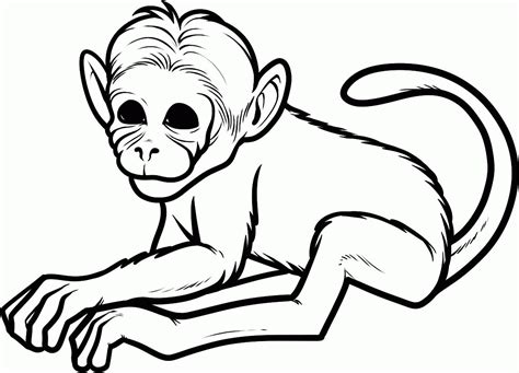 Free Realistic Monkey Coloring Pages Download Free Realistic Monkey