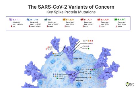The Sars Cov 2 Variants Of Concern Lgc Standards