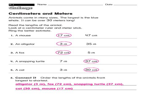 Centimeters And Meters Estimation Worksheet For 3rd 4th Grade