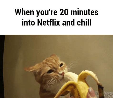 When Youre 20 Minutes In Netflix And Chill Know Your Meme