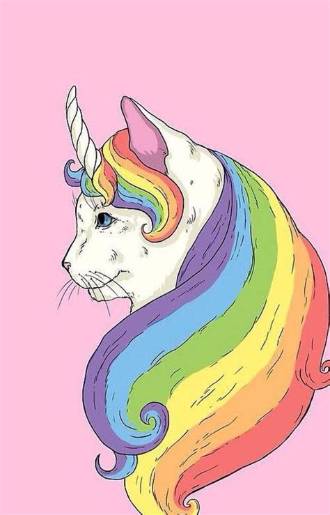 Unicorn Cat Cat Art Unicorn